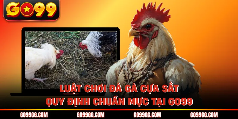 Luật Chơi Đá Gà Cựa Sắt - Quy Định Chuẩn Mực Tại GO99 1 Luật Chơi Đá Gà Cựa Sắt - Quy Định Chuẩn Mực Tại GO99